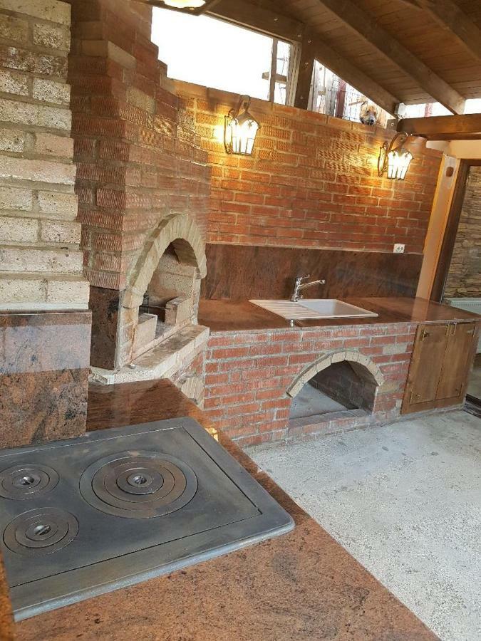 Casa Piri Hotel Anina Buitenkant foto