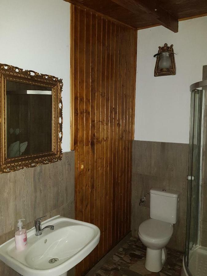 Casa Piri Hotel Anina Buitenkant foto