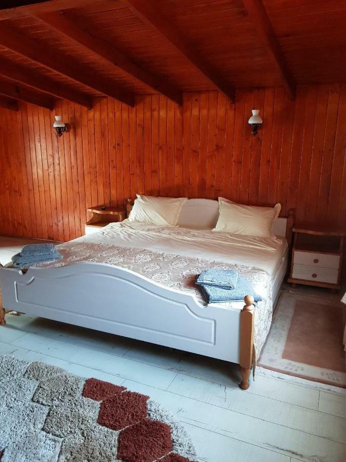 Casa Piri Hotel Anina Buitenkant foto